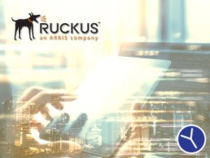 e-book Ruckus